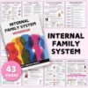 Internal Family Systems (IFS) Self-Healing Workbook Set Emotional Management Coping Skills + Partial Mapping Therapy Notes | Tools for Psychological Growth And Self-Awareness Enhancement, Spiral-Bound Notebook